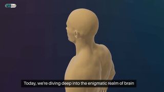 The Mysterious World of Brain Plasticity:  Unleashing Your Mind's Potential