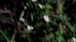 Animal lovers