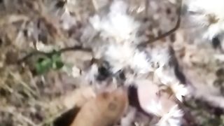 Animal lovers