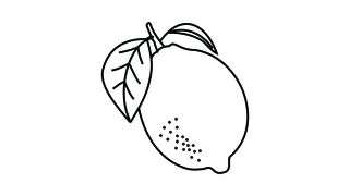 drawing lemon