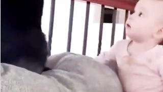 Cat and kids afunny video
