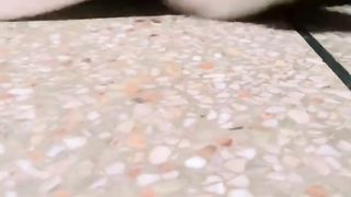 How People are Reacting to cute cat