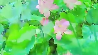 Fanny 34
