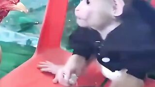Little baby funny moments 3
