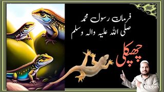 Killing a lizard.hadith sharif.