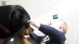 Funny Babies Laughing Hysterically at Dogs Compilation 5