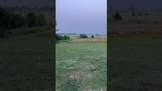 A little history lesson about Gettysburg! #rachelpizzolato #gettysburg #battlefield #history