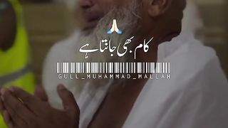 tiktokdownload.online_1694890777414.