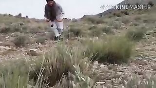 batair ka shakir//batair hunting