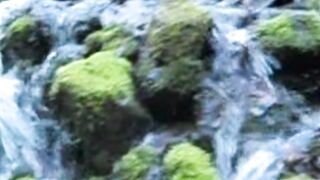 Beautiful nature 103