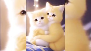 The Real Story Behind cute cat