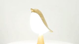 Bedroom Lamp | Bedside Lamp| Bird Lamp| Beautiful gadget