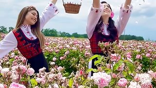 8 ФАКТА   ЗА БЪЛГАРИЯ