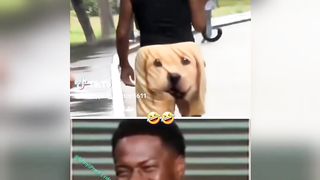 Funniest design you've never seen...!