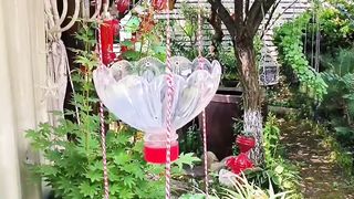 Beautiful video nice