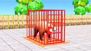 Fountain Cartoon Game 11#cow #hen #cat #lion #Diansour #gorila #bull #horse #elephant