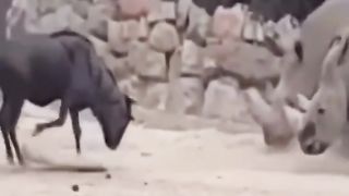 So funny 25