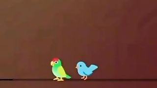 A beautiful love story parrot and sparrow