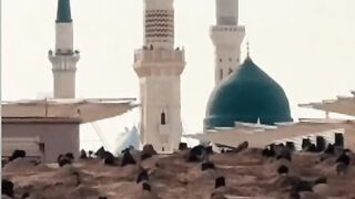 Jannat u baki