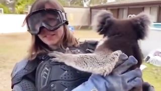 Funny | Aussies Convince Reporter: Koala or Dropbear? | FunFM