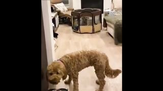 Funny | The Motivational Quirk: Don't Give Up! | FunFM
