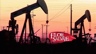 Flor salvaje 21