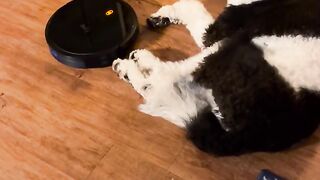Funny | Oops, Excuse Me! | FunFM