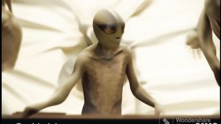 Funny | Revealing the Previously Unseen! | FunFM