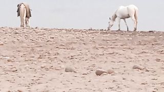 payar ki payaas
