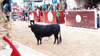 Touro