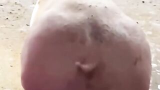 Pet 3