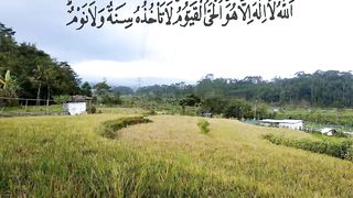 7X AYAT KURSI & ALBAQARAH 285-286