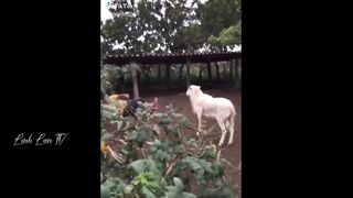 Funny Moments Of The Year Compilation ???????????? PART 5 5