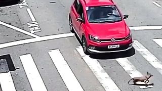 Serious accident