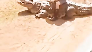 Don't joke with a crocodile