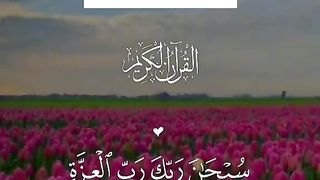 VID-20230918-WA0007.