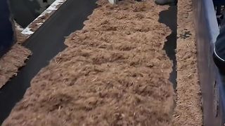 conveyor