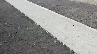 Results from driving