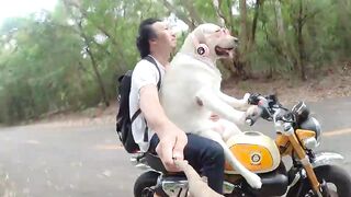 She also likes to invite us to ride her car. . . .