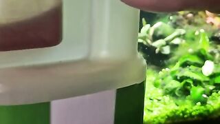 ✨️ Let's cultivate my plants...
