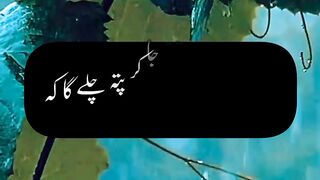 Qabr m ja k pta chly ga #viral  status @Kashafbutt