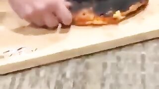 This tool will help to create the best looking pizza????????