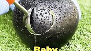 Random facts 31