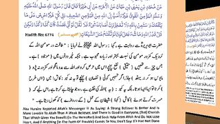 اسلامی معلومات 176
