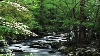 Beautiful nature 104