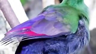 Nice video #fyp #forupage #viral #trending #heartouching