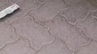 funny video 318