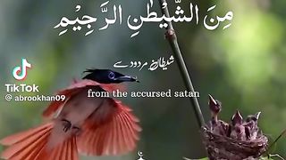 Bismillah 5