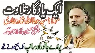 Syed AttaUllah Shah Bukhari _ khutba juma