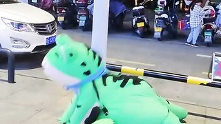 New funny video 23